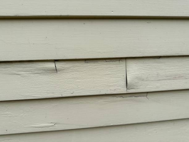 Best Storm Damage Siding Repair  in Rich Hill, MO